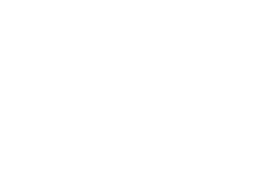 Official Supplier